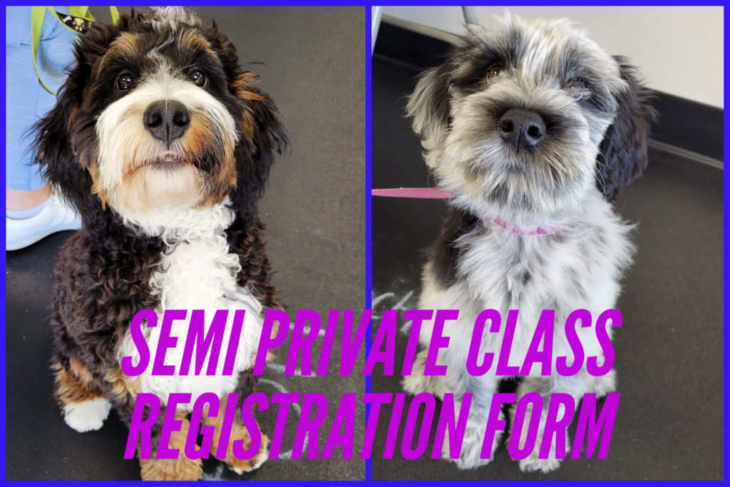 Semi Private Registration HT Dog Training